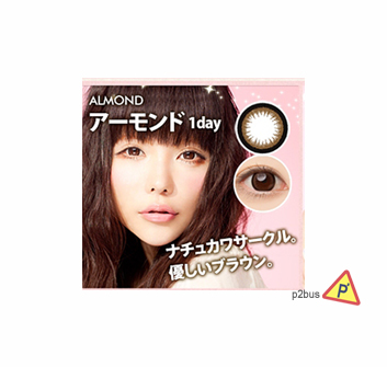 Angelcolor Bambi Series Color Cons Almond (1 Day) 