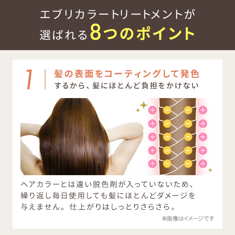 Every Hair Color Conditioner (Gray) 160g