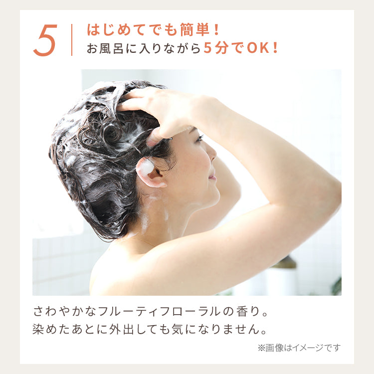 Every Hair Color Conditioner (Gray) 160g