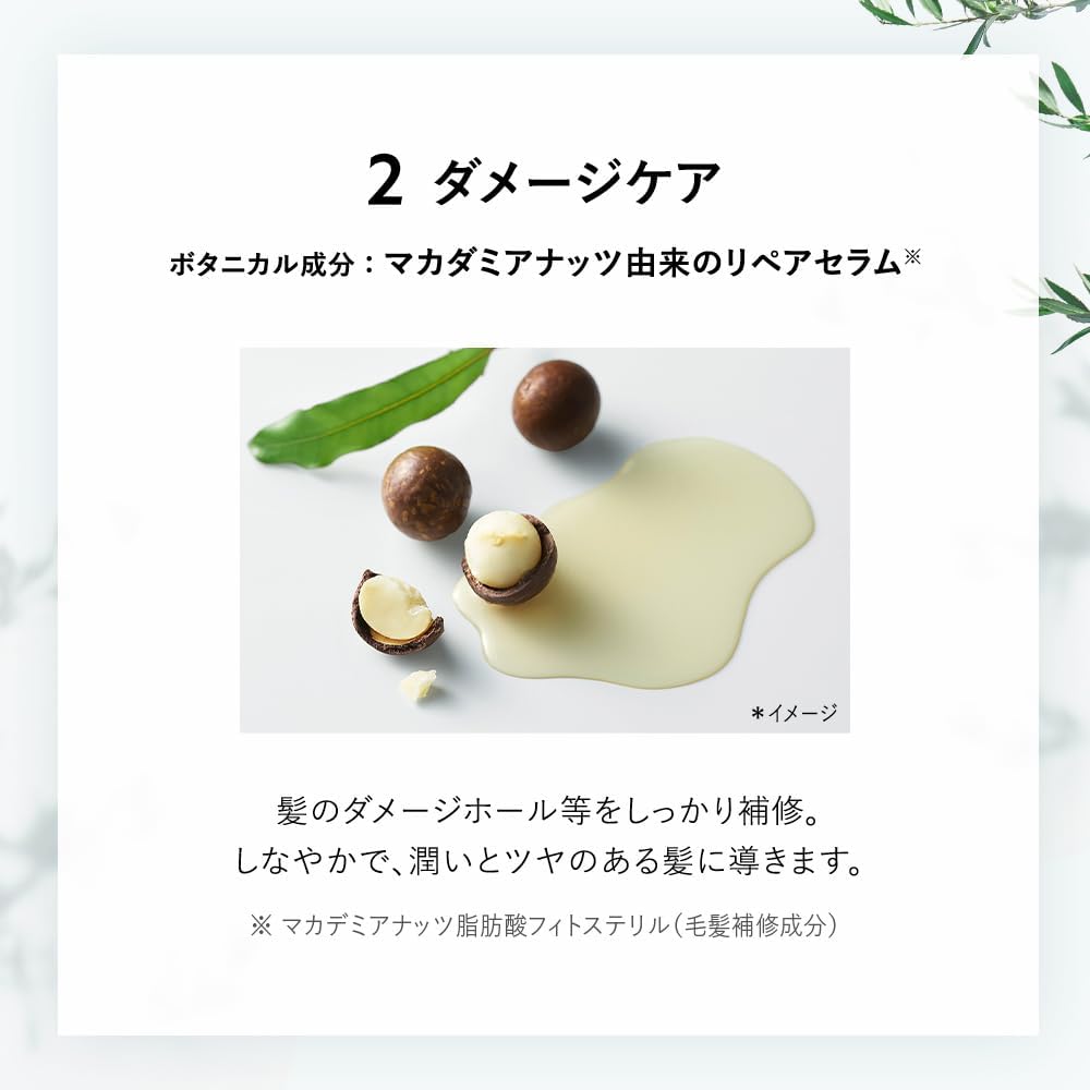 Botanical Conditioner (Smooth) 460g