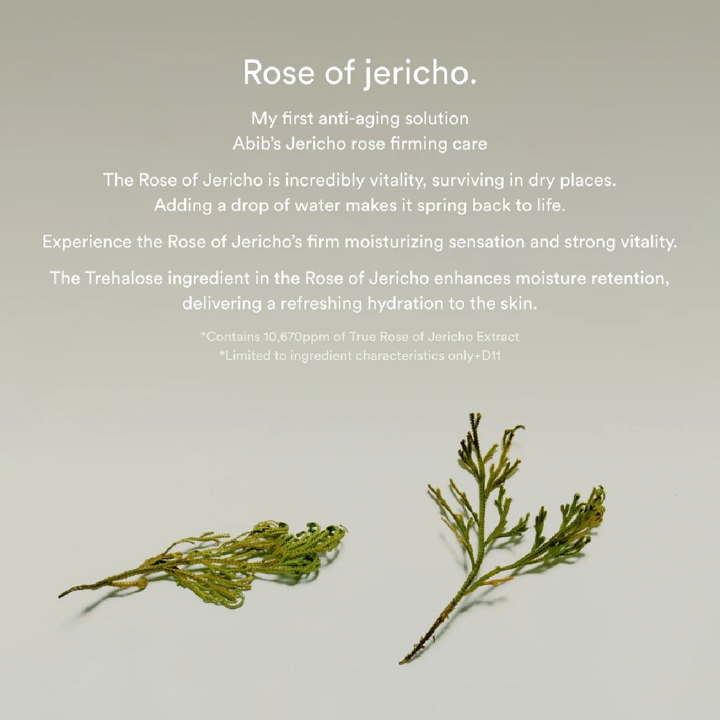 Jericho Rose 胶原蛋白紧致触感垫 60 片