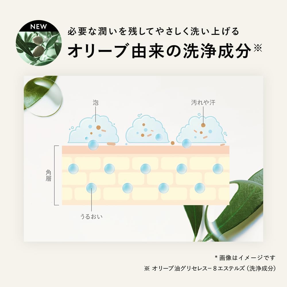 Botanical Body Soap Moist 490ml