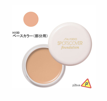 Shiseido Spotscover Concealer H100 (Fair)